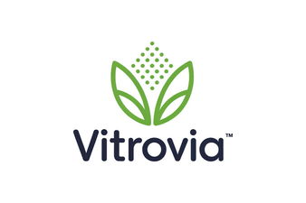 Vitrovia.com - Creative brandable domain for sale