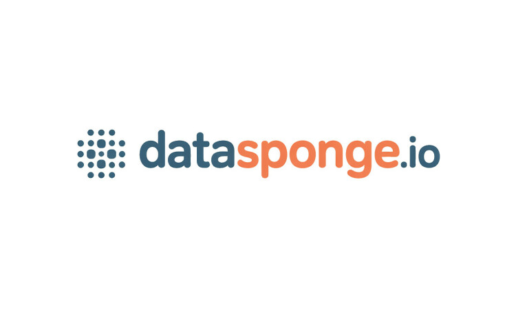 DataSponge logo