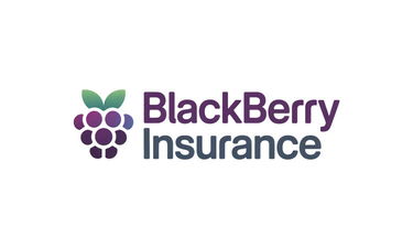 BlackberryInsurance.com - Creative brandable domain for sale