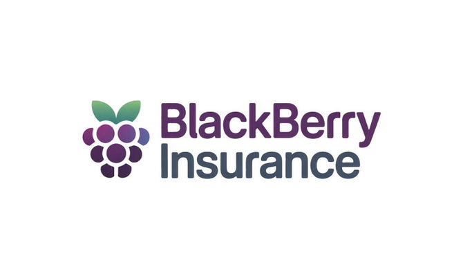 BlackberryInsurance.com