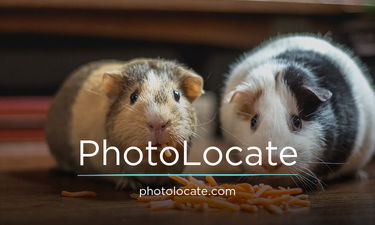 PhotoLocate.com - Creative brandable domain for sale