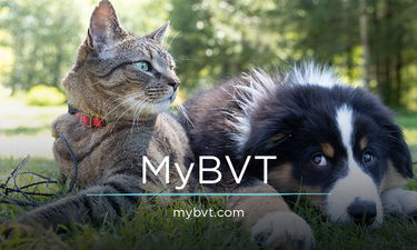 MyBVT.com - Creative brandable domain for sale