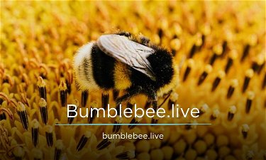 Bumblebee.live - Creative brandable domain for sale