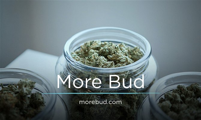 MoreBud.com