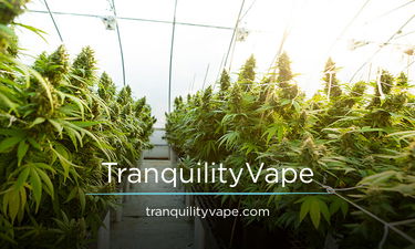 TranquilityVape.com - Creative brandable domain for sale