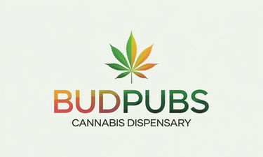 BudPubs.com - Creative brandable domain for sale