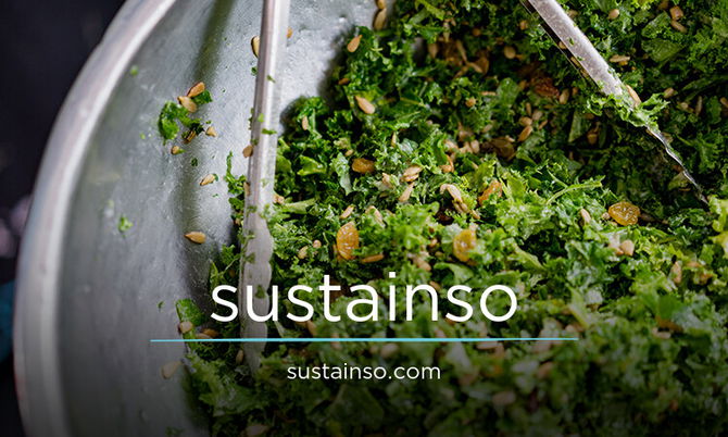 sustainso.com