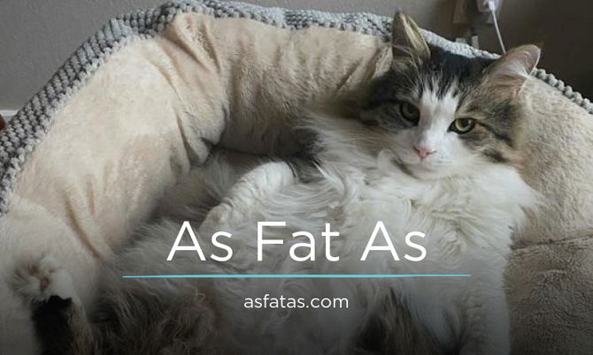 AsFatAs.com