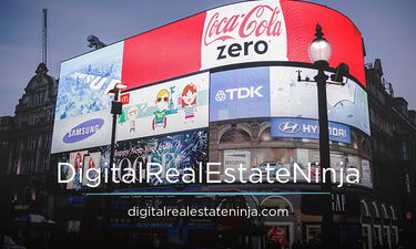 DigitalRealEstateNinja.com - Creative brandable domain for sale