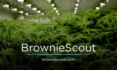 BrownieScout.com - Creative brandable domain for sale
