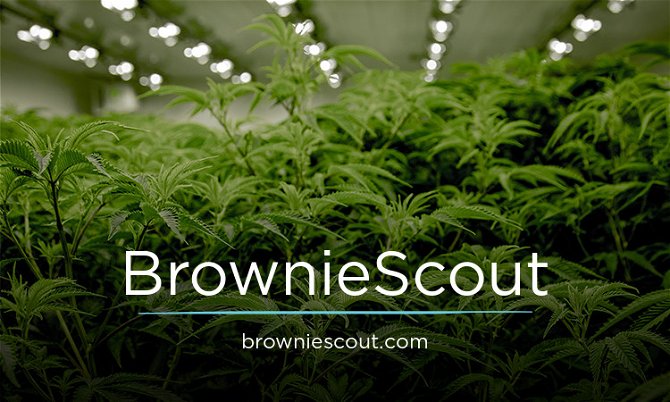 BrownieScout.com