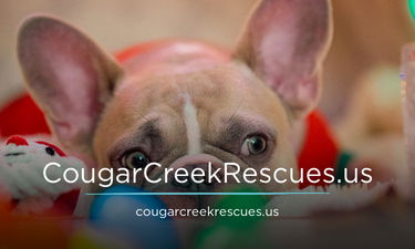CougarCreekRescues.us - Creative brandable domain for sale