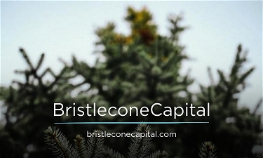 BristleconeCapital.com