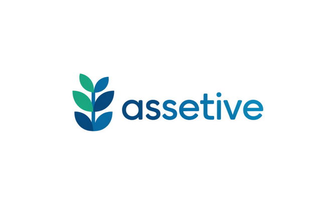 Assetive.com