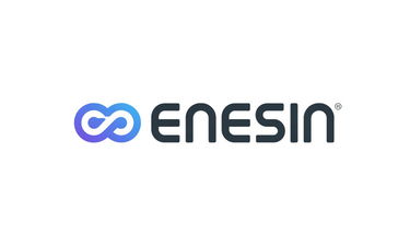 Enesin.com - Creative brandable domain for sale