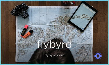 FlyByrd.com - Creative brandable domain for sale