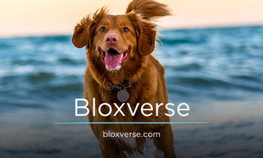Bloxverse.com - Creative brandable domain for sale