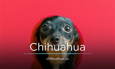 Chihuahua.us - Creative brandable domain for sale