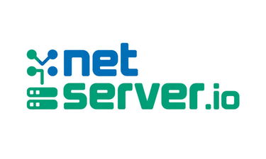 NetServer logo