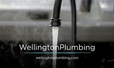 WellingtonPlumbing.com - Creative brandable domain for sale