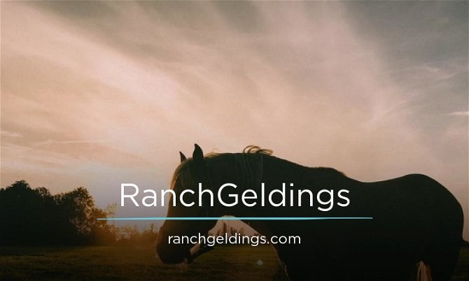 RanchGeldings.com