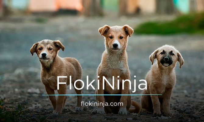 FlokiNinja.com