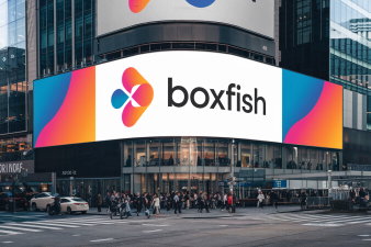 Boxfish - Catchy premium website names for sale