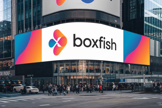 Boxfish.com