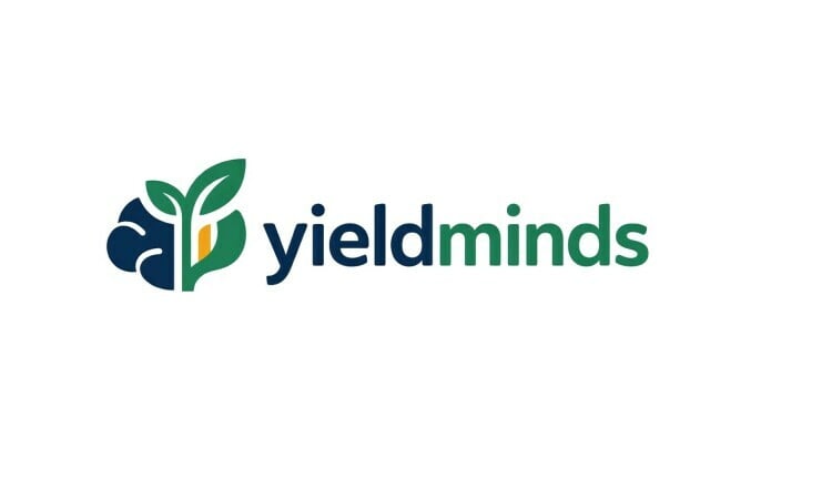 YieldMinds logo