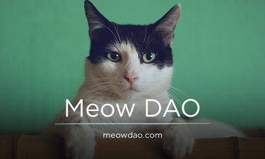 MeowDAO.com