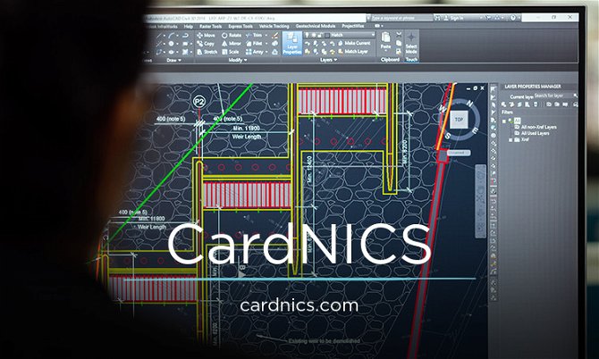 CardNICS.com