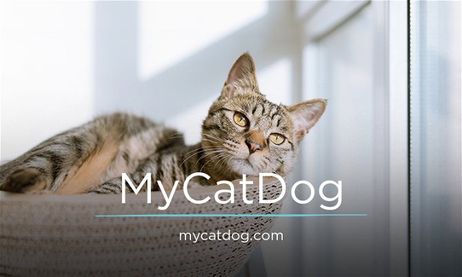 MyCatDog.com