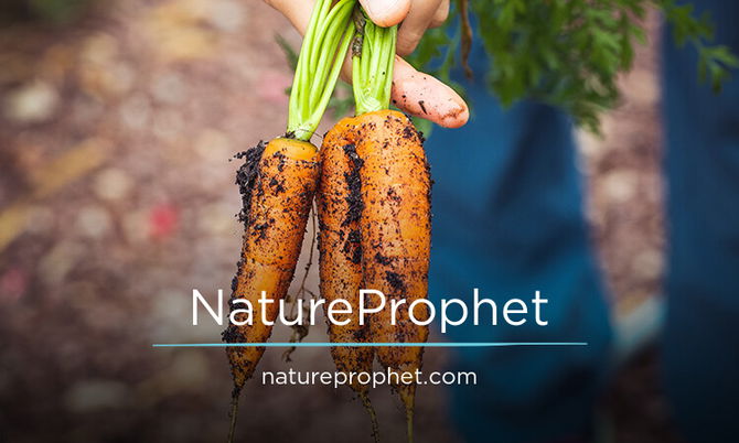 NatureProphet.com