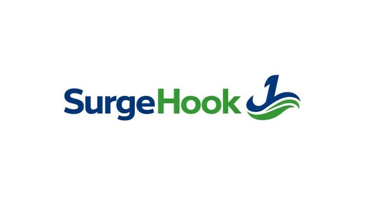SurgeHook logo
