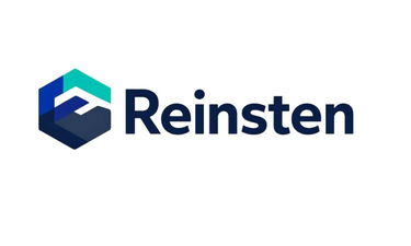 Reinsten.com - Creative brandable domain for sale