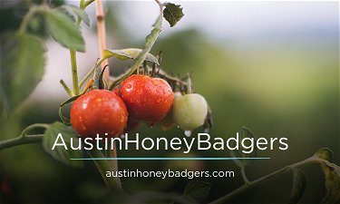 AustinHoneyBadgers.com