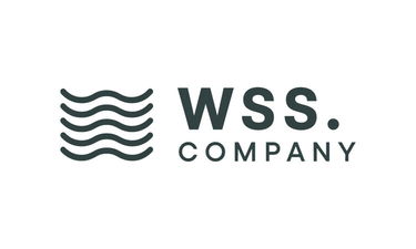 Wss.company - Creative brandable domain for sale