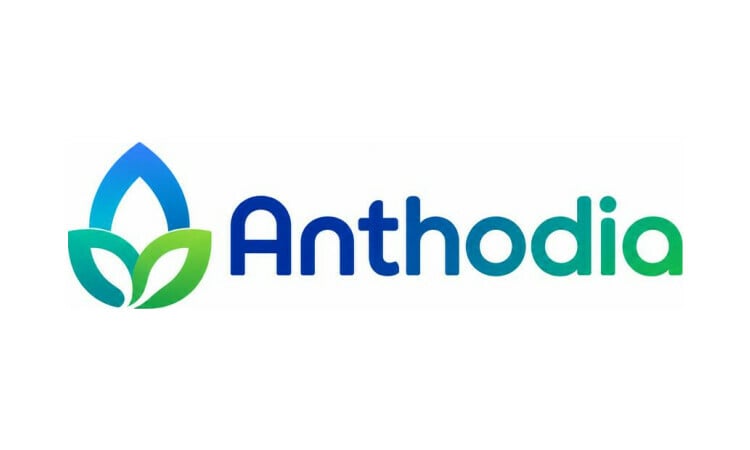 Anthodia logo