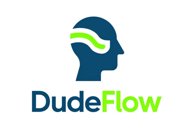 DudeFlow logo