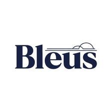 Bleus.com - Creative brandable domain for sale