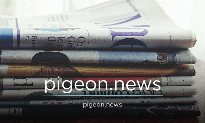 Pigeon.news