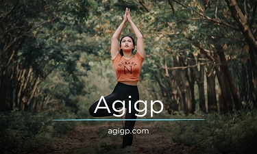 agigp.com