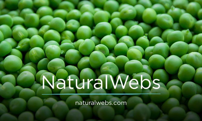 NaturalWebs.com