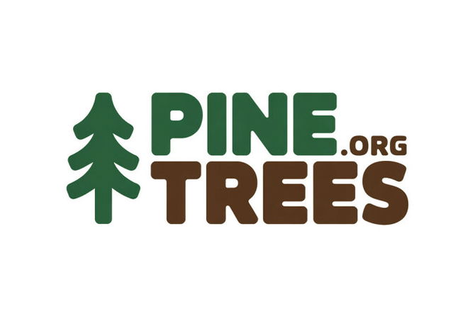 PineTrees.org