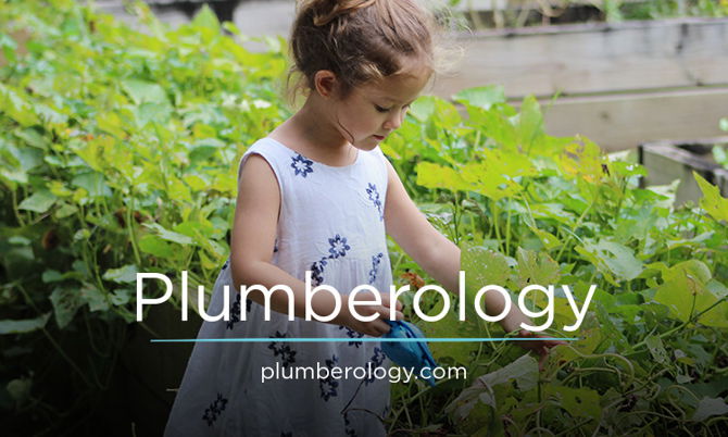 Plumberology.com