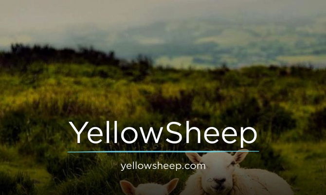 YellowSheep.com