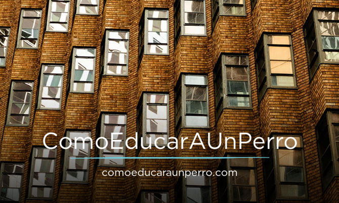 ComoEducarAUnPerro.com