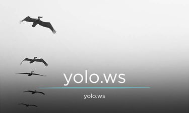 yolo.ws is for sale