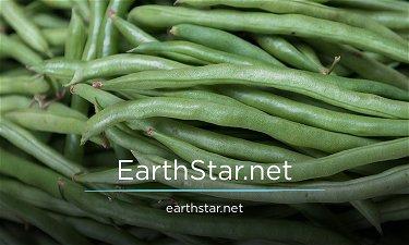 earthstar.net