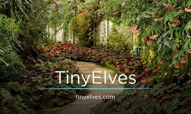TinyElves.com - Creative brandable domain for sale